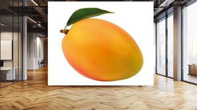 Mango fruit with leaf Wall mural