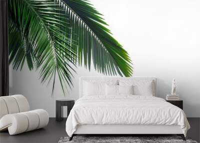 Palm trees branch foliage cut out backgrounds Wall mural