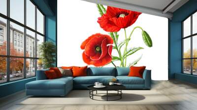 Red poppies bouquet in watercolor, flower bouquet isolated on white Wall mural