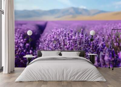 A field of lavender flowers with a mountain in the background Wall mural