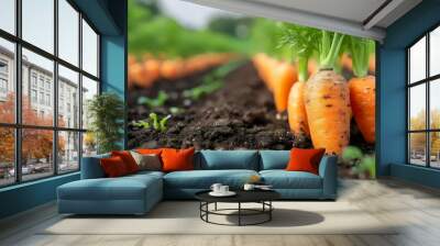 A row of carrots are growing in a field Wall mural