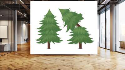 broken pine tree vector illustration Wall mural