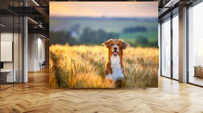 Dog on the meadow Wall mural