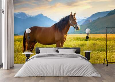 Horse in the meadow Wall mural