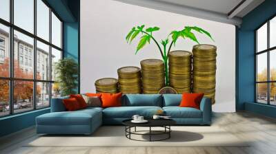 business chart, coin Wall mural