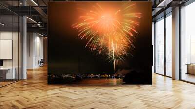 Bight colorful fireworks burst over Marina del Rey for LA County's Fourth of July Celebration. Wall mural