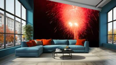 Bight colorful fireworks burst over Marina del Rey for LA County's Fourth of July Celebration. Wall mural