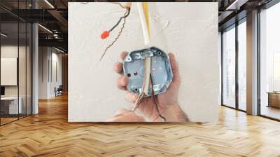 electrician wiring ceiling box Wall mural