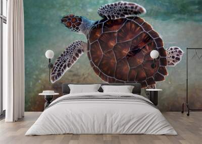 Top View of Beautiful Young Green Sea Turtle in Grand Cayman Wall mural