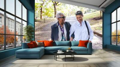 A black mother and her adult daughter holding hands and walking in the park Wall mural