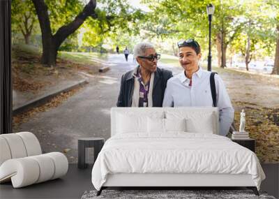 Elderly black woman and her adult daughter arm in arm as they walk in the park together Wall mural