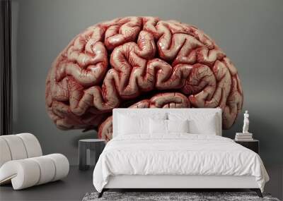 Human Brain Model on Grey Background Wall mural