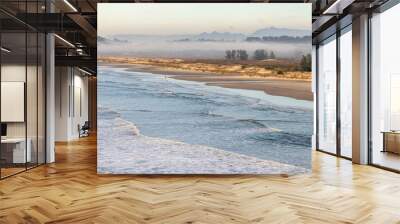 Guarita beach with dunes, waves and winter fog over the field Wall mural