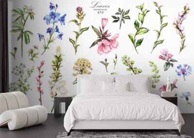 big set watercolor elements - wildflowers, herbs, leaf. collection garden and wild, forest herb, flo Wall mural