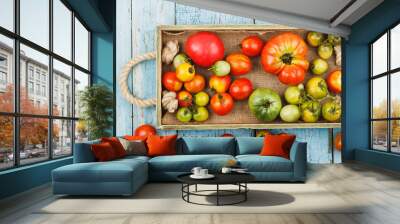 Set of different sorts of ripe tomatoes in the wooden tray Wall mural