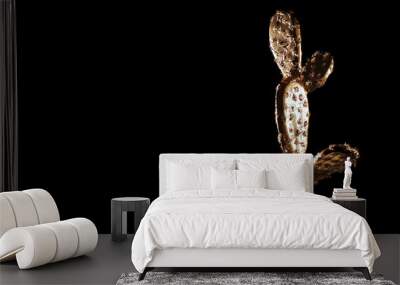 Golden cactus isolated on black background Wall mural