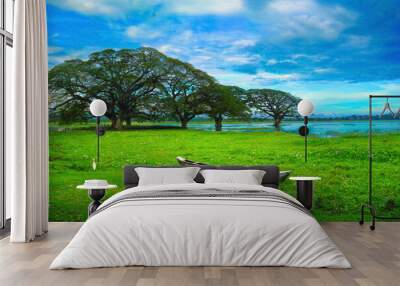 Beautiful scenic view - artificial Tissa Wewa lake- few trees, bright green duckweed and old traditional wooden boat at the background of cloudy sky in Tissamaharama, Sri Lanka, Asia Wall mural