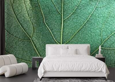 Green leaf background texture Wall mural