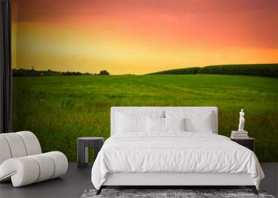 Beautiful farm field with grass, silo and corn at sunset. Amish country, Lancaster  Pennsylvania  Wall mural