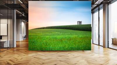 Beautiful farm field with grass, silo and corn at sunset. Amish country, Lancaster  Pennsylvania  Wall mural