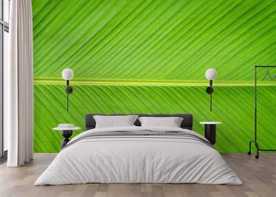 Green banana leaf texture background Wall mural