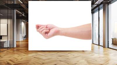 Man hand isolated on white background, clipping path Wall mural