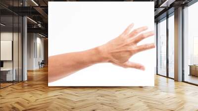 Man hand isolated on white background Wall mural