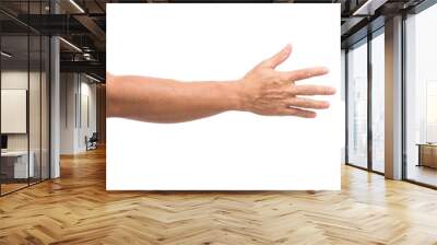 Man hand isolated on white background Wall mural