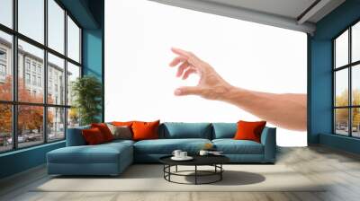 Man hand isolated on white background Wall mural