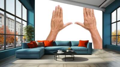 set of man hands isolated on white background Wall mural