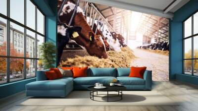 Group of cows at cowshed eating hay or fodder on dairy farm. Wall mural