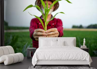 Senior farmer holding corn stalk in the field. Industrial production of grain. Wall mural