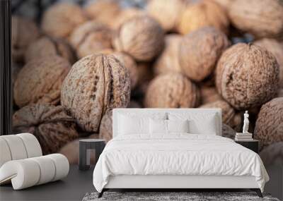 Background with fresh wild walnuts Wall mural