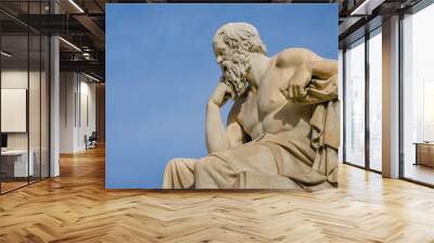 Close up of a greatest of philosophers Socrates reflects on the meaning of life. Wall mural