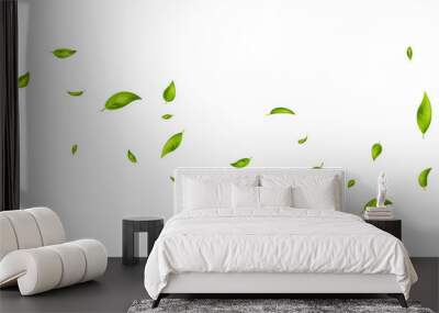 Green flying leaves on long white banner. Leaf falling. Wave foliage ornament. Ecology, eco, organic design element. Cosmetic pattern border. Fresh tea background. Beauty product. Vector illustration Wall mural