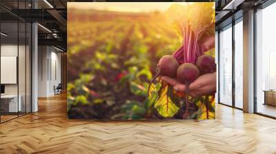 Farmer holds bunch fresh beets with lush leaves. Healthy organic food, vegetables, agriculture Wall mural