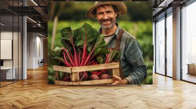 Portrait farmer holding wooden box full beets with bright red stems lush leaves middle farm field Wall mural