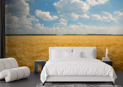 Ripe spikelets of ripe wheat. Closeup spikelets on a wheat field against a blue sky and white clouds. Wall mural