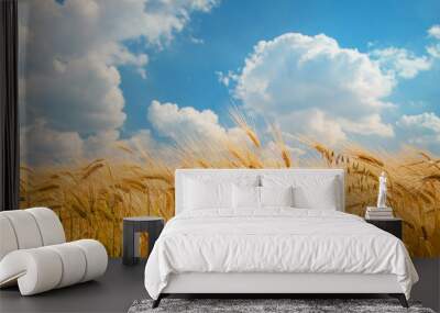 Ripe spikelets of ripe wheat. Closeup spikelets on a wheat field against a blue sky and white clouds. Wall mural