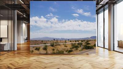  Desert in Arizona with green bushes and cacti on a sunny day with blue sky and white clouds. Nature near Phoenix, Arizona, USA Wall mural