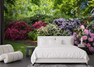 park with flowering rhododendrons in spring Wall mural