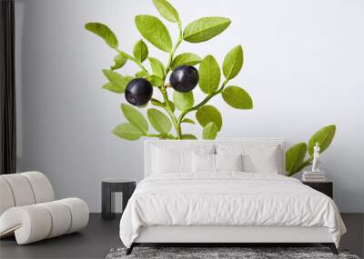 Twig of fresh blueberries on a white background Wall mural