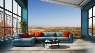 Wide steppes, flat terrain extends to the horizon against a clear blue sky. Dry grass in the meadows in Texas, America Wall mural