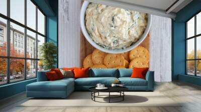 Homemade Caramelized Onion and Spinach Dip with Salty Round Crackers, top view. Flat lay, overhead, from above. Wall mural