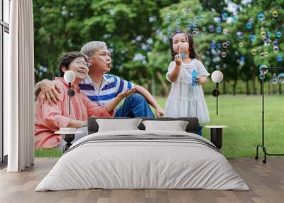 Asian cute granddaughter making bubbles and attractive happy grandparents look at her in the public garden at vacation day or holiday. Family Concept. Wall mural