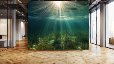 Sunbeams penetrating underwater create a mesmerizing spectacle, casting ethereal rays of light that dance and shimmer through the depths, illuminating the aquatic world with a magical glow Wall mural