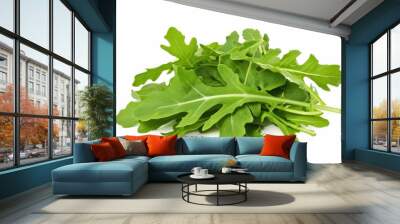 Tender leaves of rocket lettuce against a white backdrop Wall mural