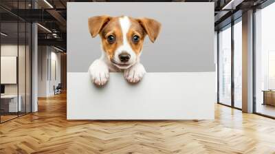 Young pup displaying empty sign on clear backdrop Wall mural