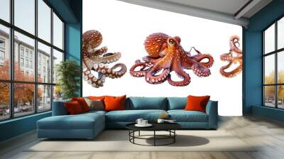 Octopus isolated on transparent background Wall mural