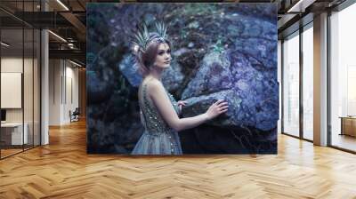 Fairytale girl in beautiful stones. Stones in the moss. Wall mural